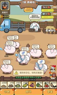 养猪大师英文图1