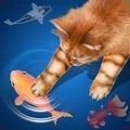 抖音逗猫玩具游戏