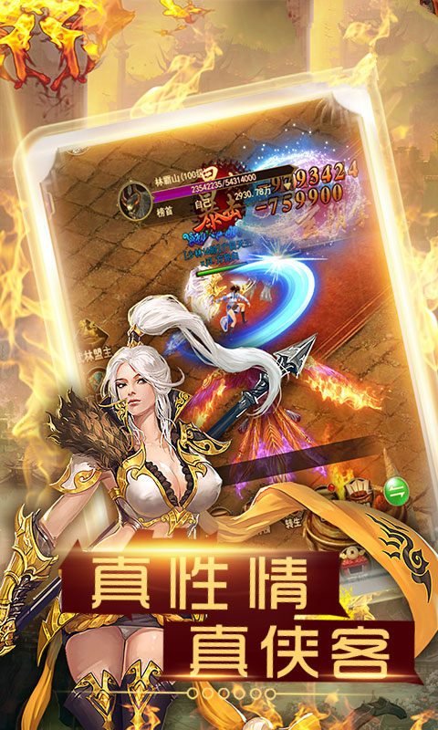 龙战武林游戏手机版图2