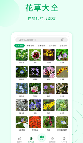 花草识别app手机版图1