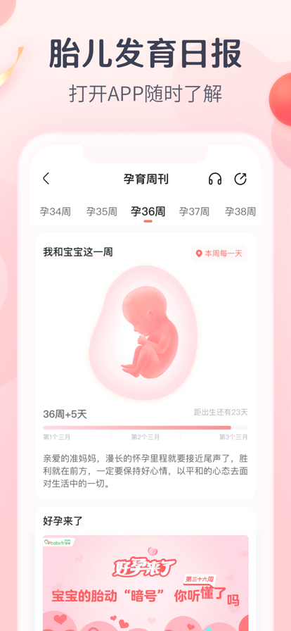 宝宝树孕育2022最新版图片2