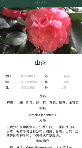 一叶识木植物识别app手机版图1