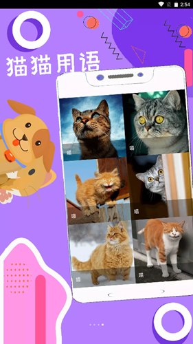 人狗猫猪翻译器app官方版图1