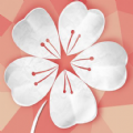小语月经期助手app