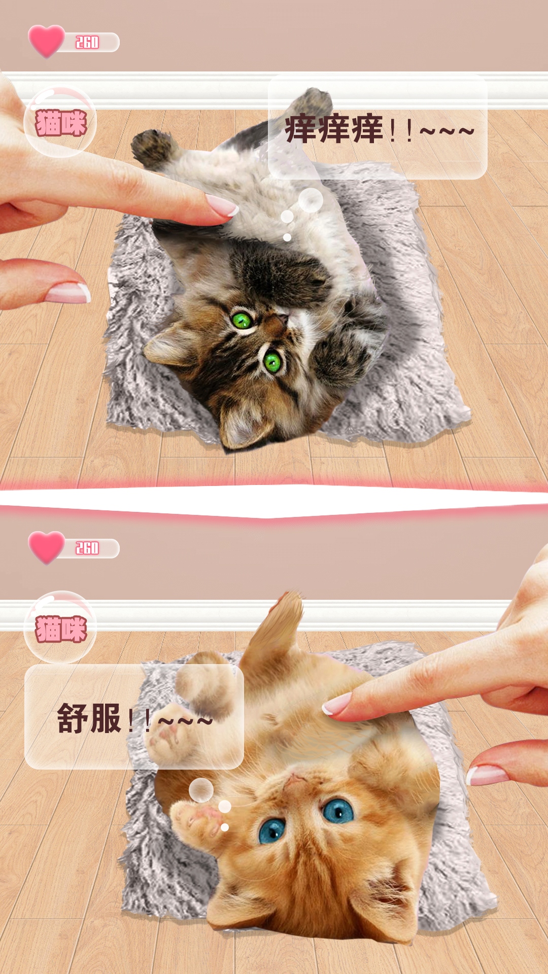 猫咪语言翻译器app图3