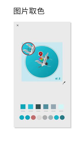好色app图2