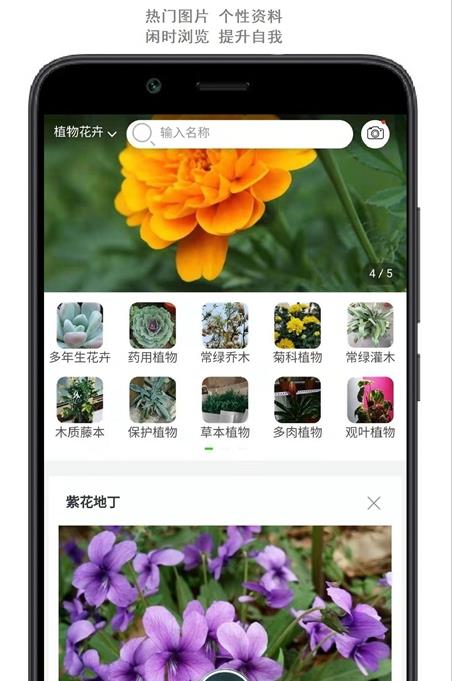 行色识花图2