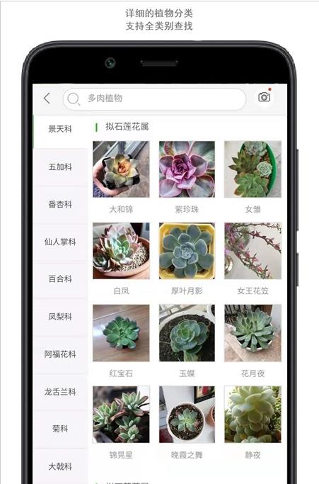行色识花app图片1