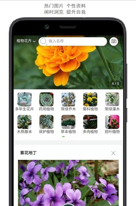 行色识花app官方版图1