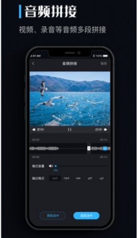 音乐转换器音频转换app手机版图3