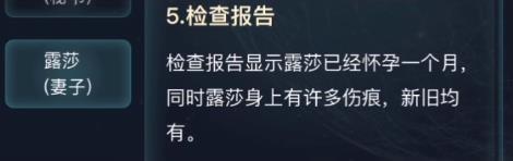 犯罪大师伦敦圣诞节凶杀案答案图片17