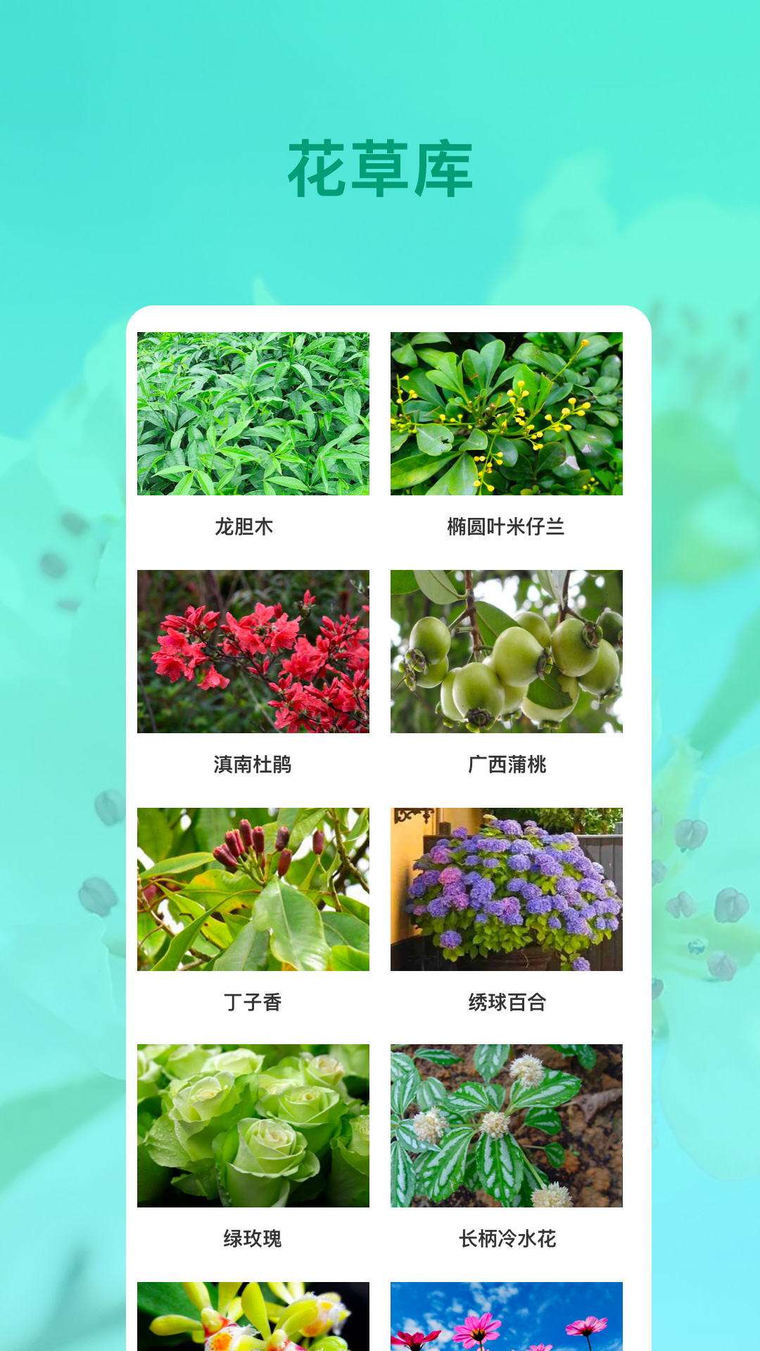 花卉识别软件最新版图3