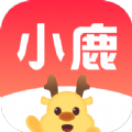小鹿盒子工具app官网版