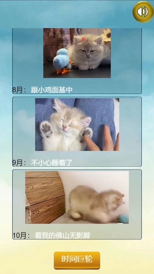 猫的一生重启模拟器游戏图片1