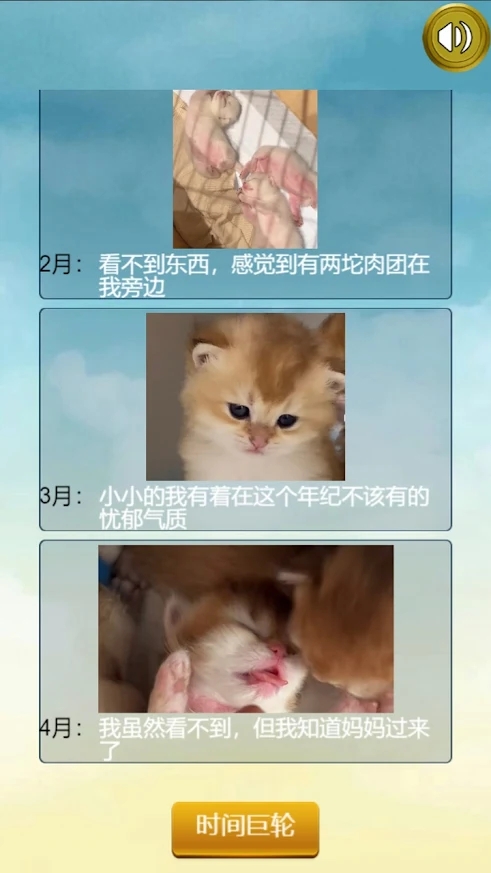 猫的一生重启模拟器游戏安卓版图1