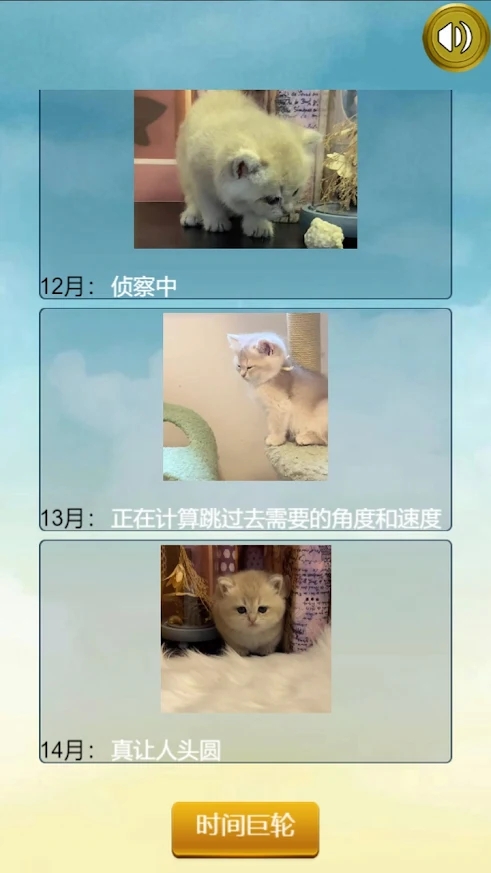 猫的一生重启模拟器游戏安卓版图3