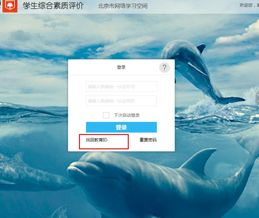 掌上综素2022最新版本图片1