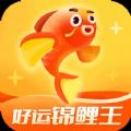 好运锦鲤王习惯打卡app官方版