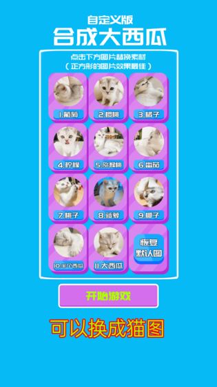 自定义合成大西瓜游戏图2