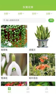 东篱花草app图片1