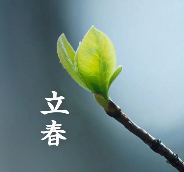 躲春是什么意思 躲春怎么躲2021 躲春是什么意思 躲春怎么躲2021