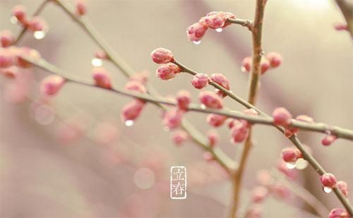 立春吃什么传统食品好?立春吃什么被称为咬春 立春吃什么传统食品好?立春吃什么被称为咬春
