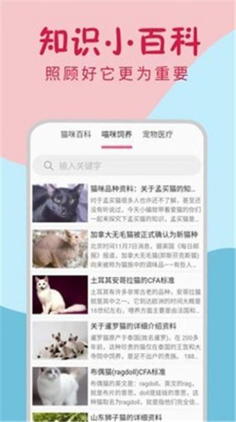 小猫翻译器app官网版图1