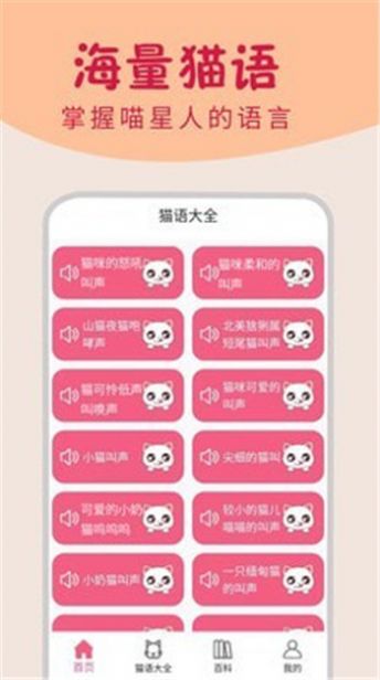 小猫翻译器app官网版图3