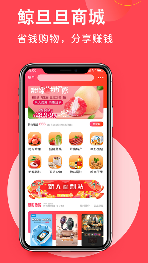 鲸旦旦app手机版图1