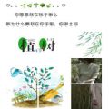 植树节九宫格图片