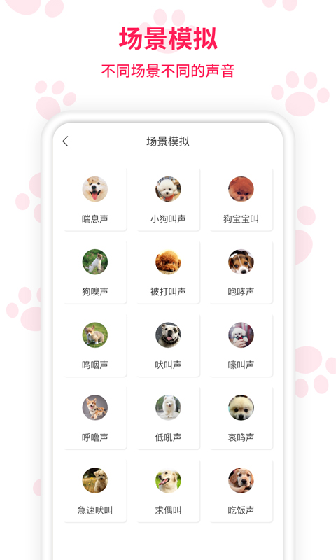 人猫人狗交流师app手机版图3