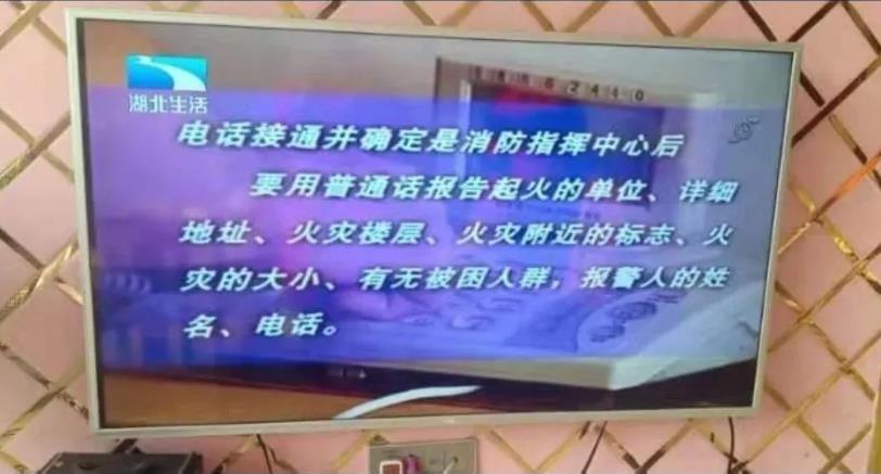 内蒙古中小学生家庭教育之春季安全防护视频回放APP图1