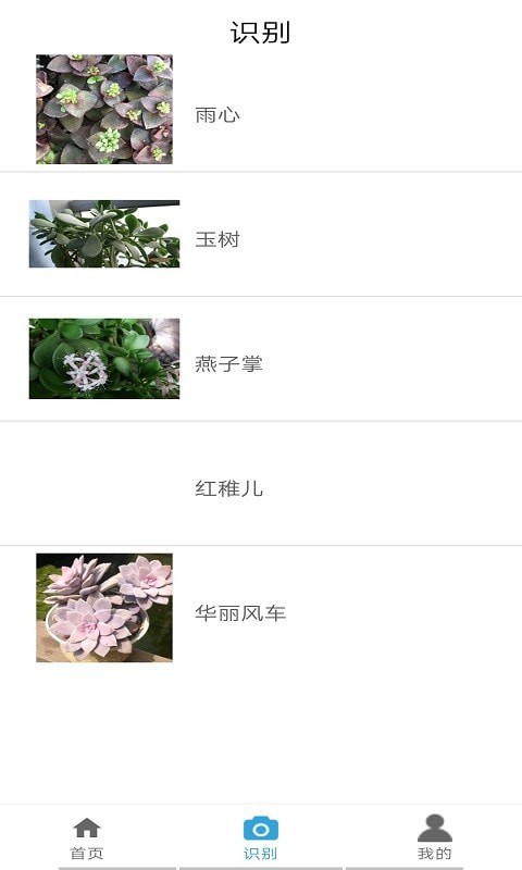 桃桃识植物app官网版图2