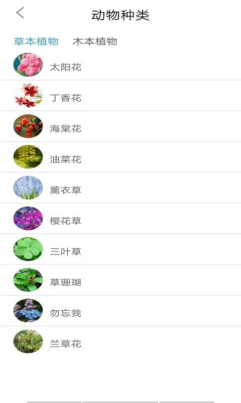 桃桃识植物app图3