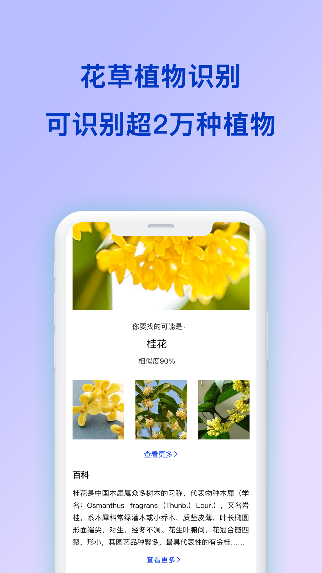 扫描全能王识图app官网版图3