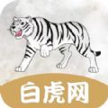 白虎网转发app