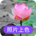 照片上色app