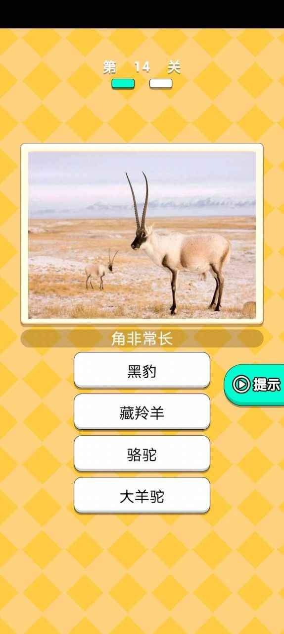动物研究院游戏最新版图1