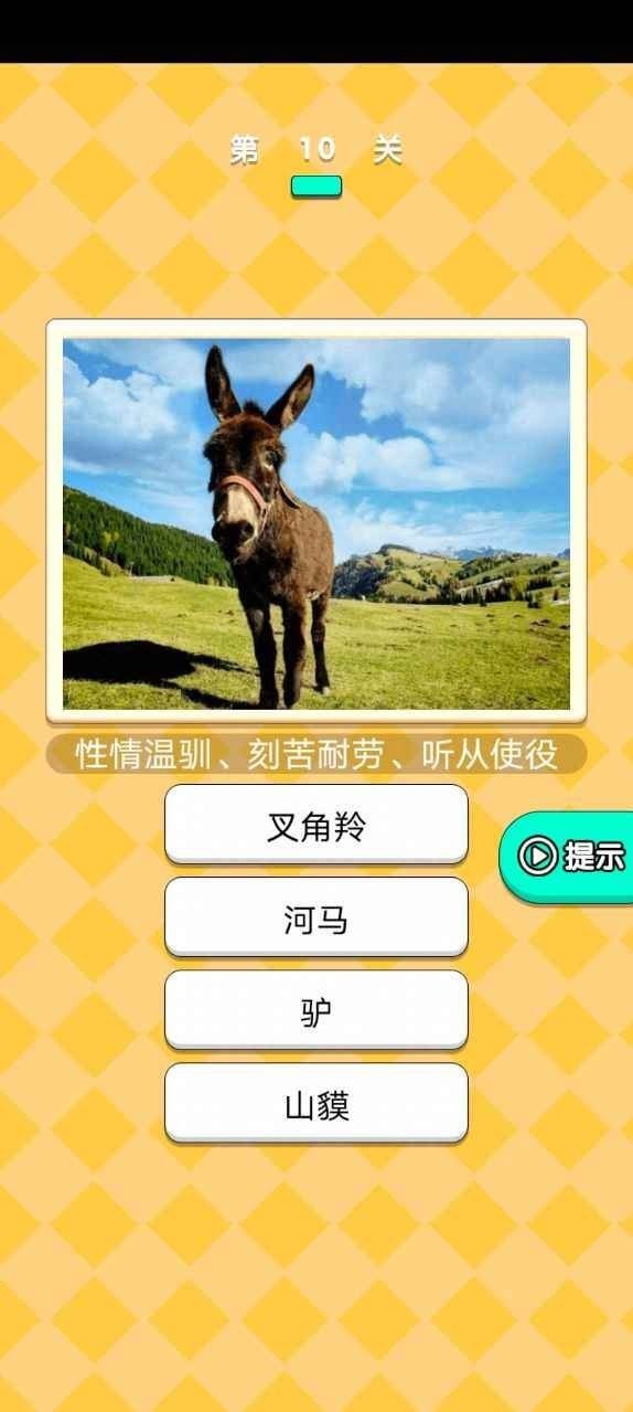 动物研究院游戏最新版图3