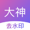 大神去水印app