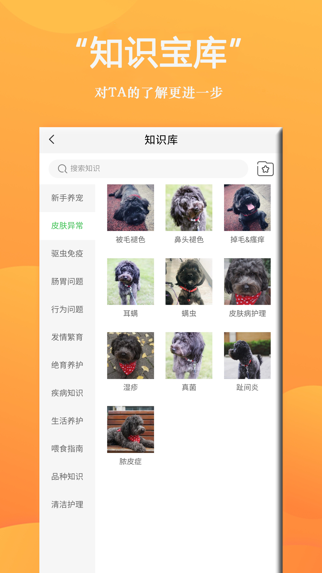 狗狗Bing商城app手机版图3