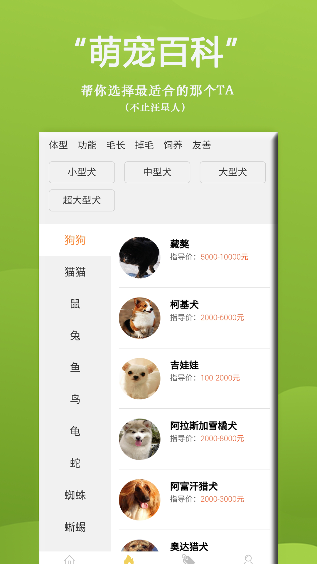 狗狗Bing商城app手机版图2