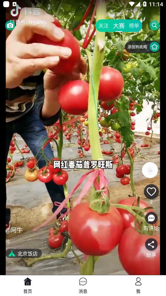 彼方app图2