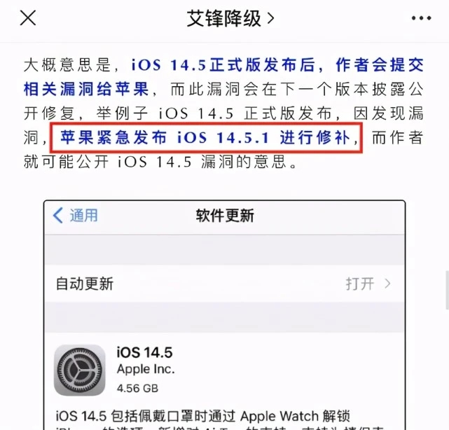 ios14.5.1越狱图2