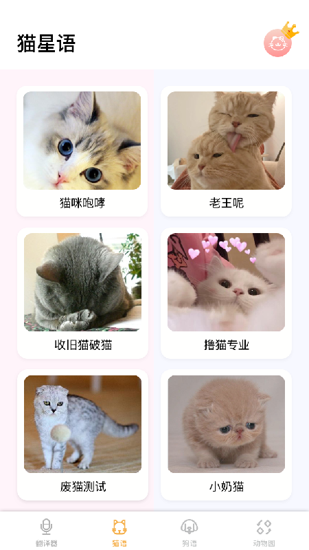 猫语翻译大师app安卓版图2