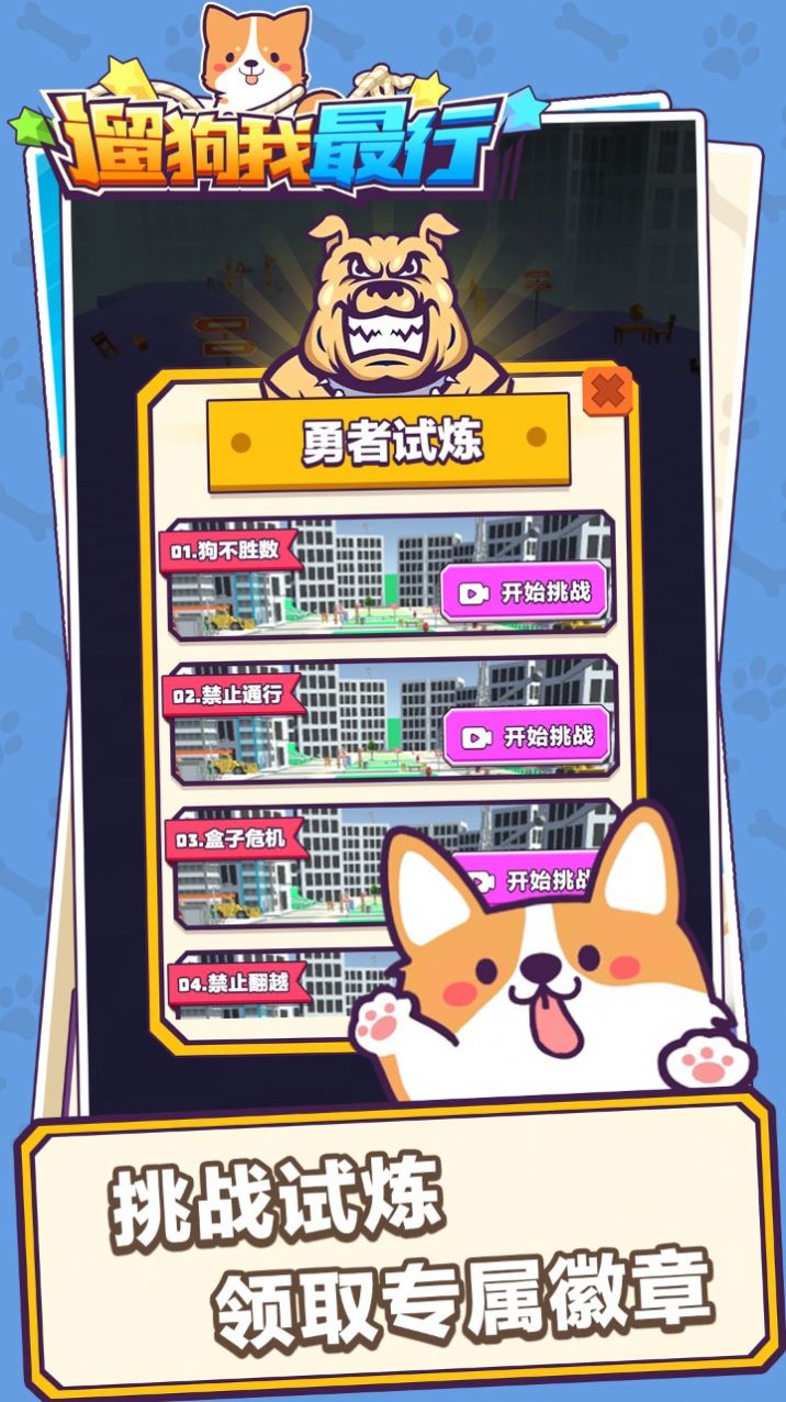 遛狗我最行游戏安卓版图2