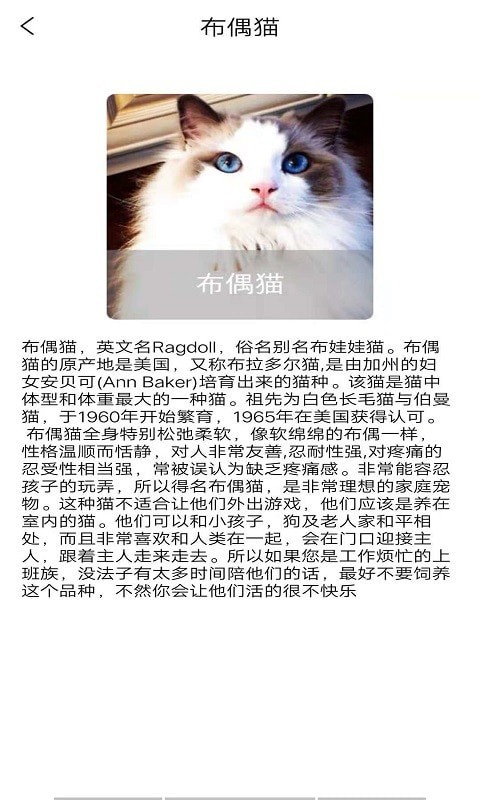 宠物知识全书app图片1