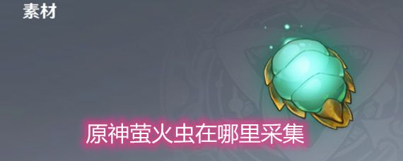 原神萤火虫的发光髓怎么采集？1.6版本萤火虫分布位置一览图片1