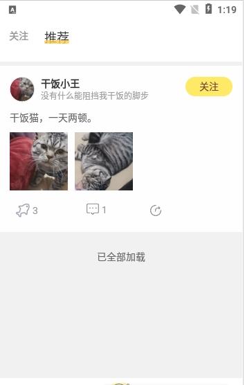 宠萌小窝图3