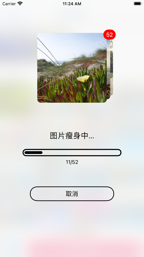 相册清理助手app图片2